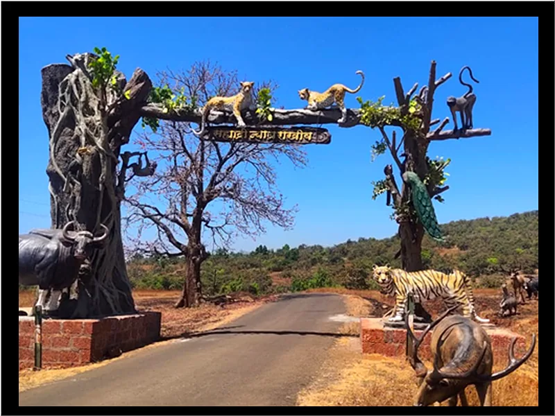 Chandoli National Park